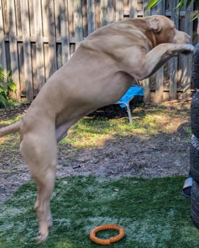 jumping